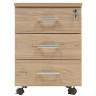 Тумба офисная ПРАКТИК NPW-406 L3